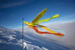 Afficher les détails pour Windflag Image de Windflag