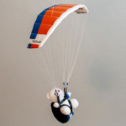 Zeige Details für Mini Paraglider Bild von Mini Paraglider